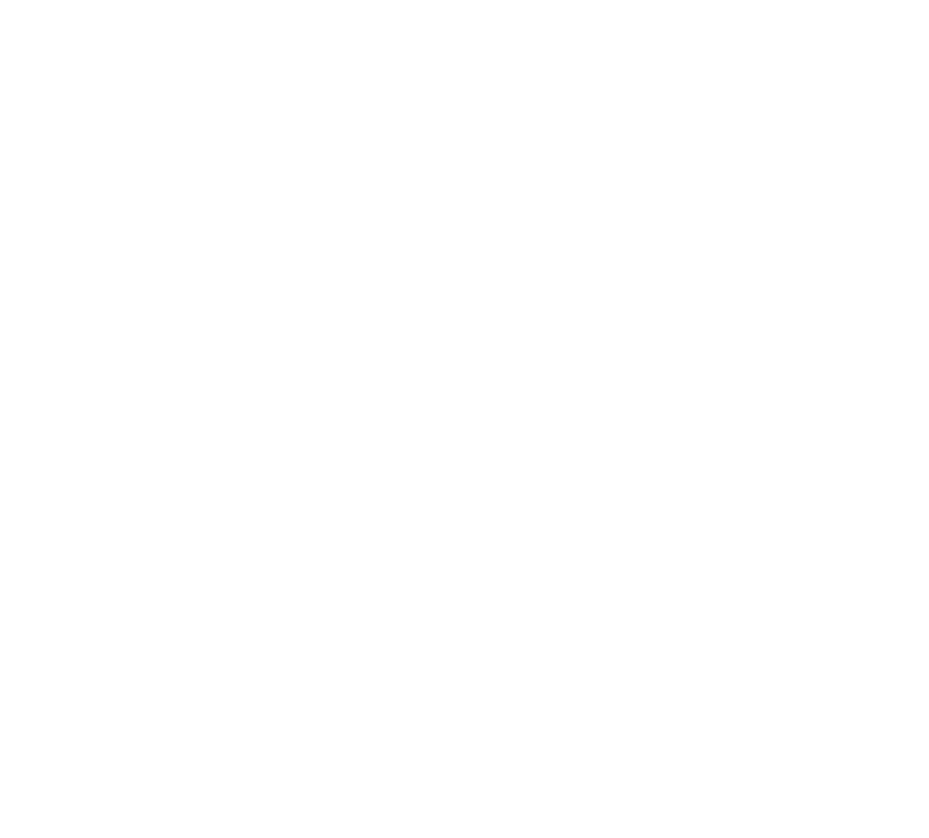 dgs logo rgb header 1 1024x924